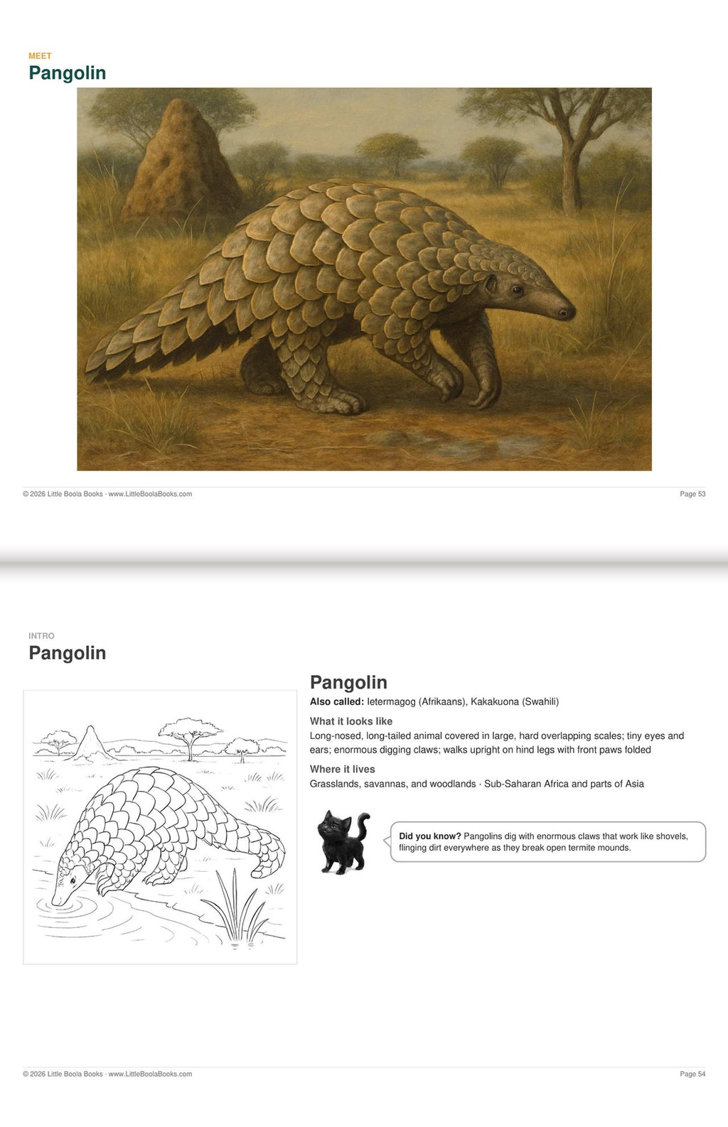 Inside Activity Book 1: The Pangolins. Amazing Animals: a painting and facts to colour