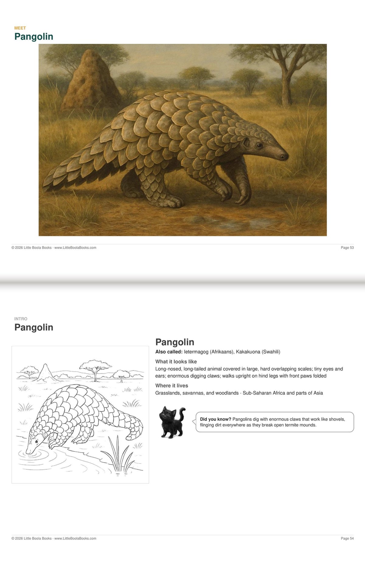 Inside Activity Book 1: The Pangolins. Amazing Animals: a painting and facts to colour