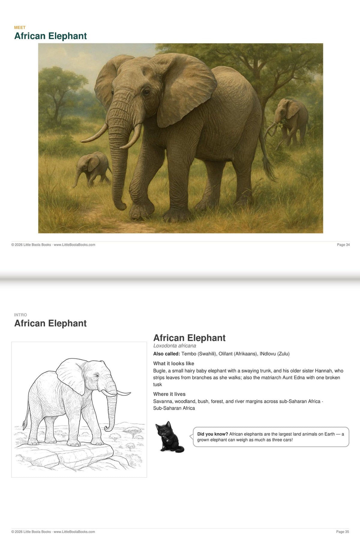 Inside Activity Book 2: The Elephants. Amazing Animals: a painting and facts to colour