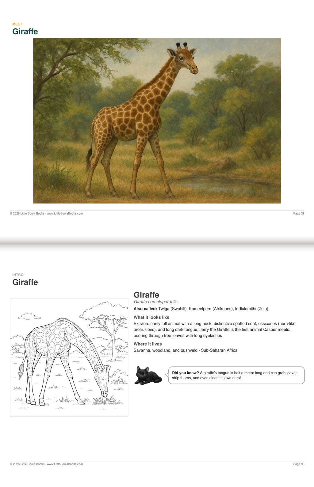 Inside Activity Book 3: The Giraffes. Amazing Animals: a painting and facts to colour