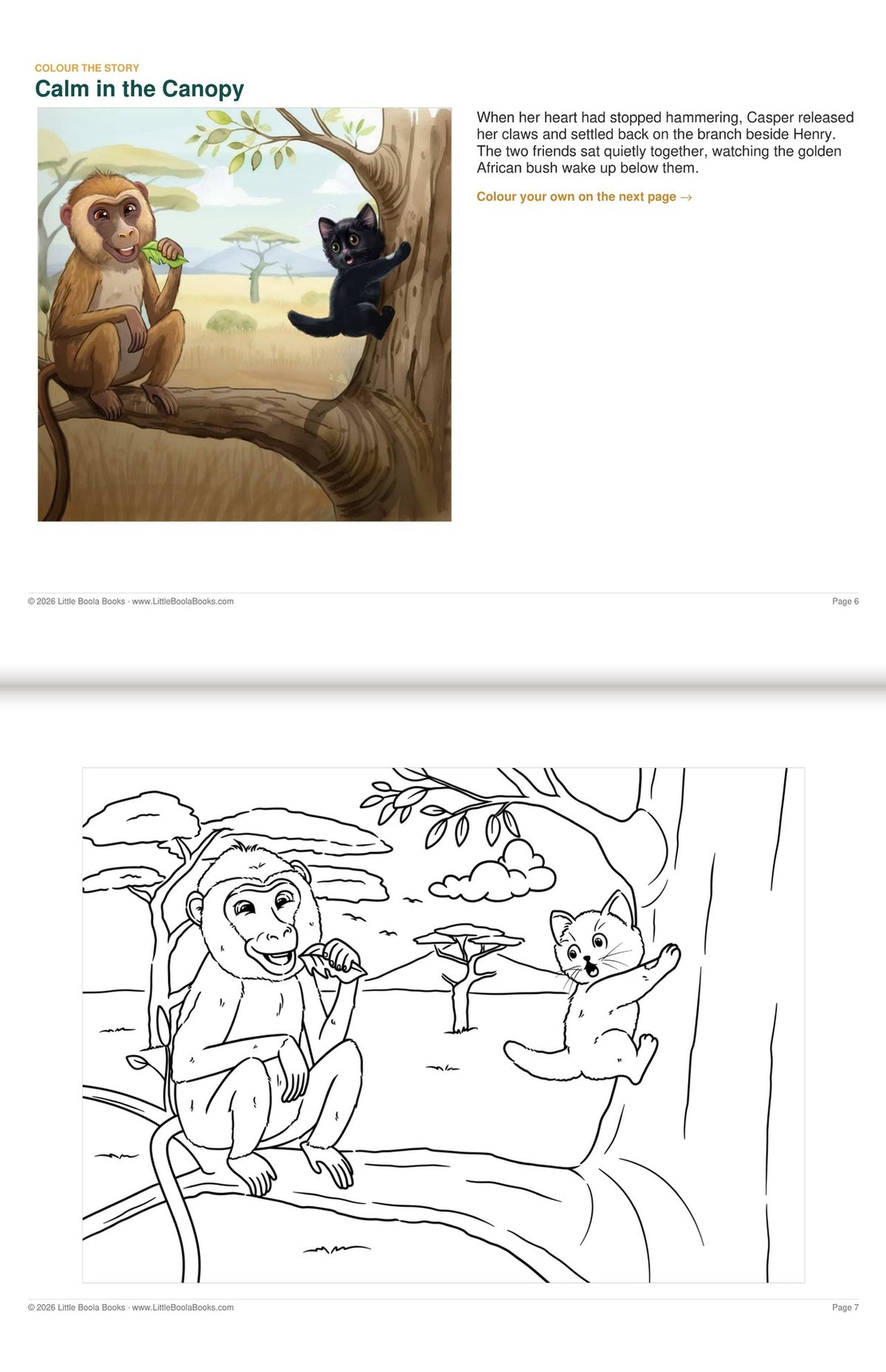 Inside Activity Book 4: The Baboons. Colour the Story: a picture from the book above the page to colour in
