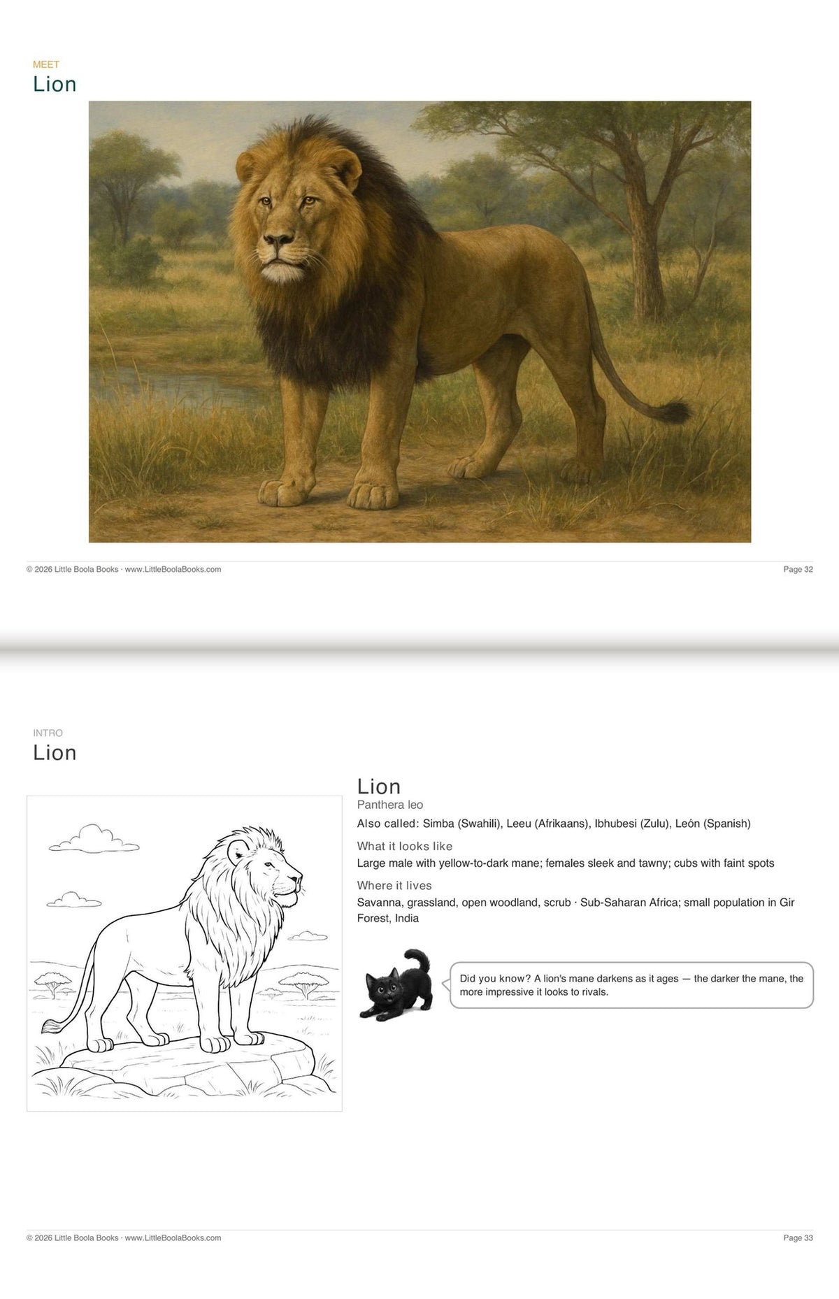 Inside Activity Book 5: The Lions. Amazing Animals: a painting and facts to colour