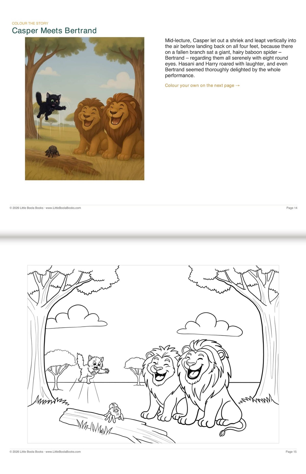 Inside Activity Book 5: The Lions. Colour the Story: a picture from the book above the page to colour in