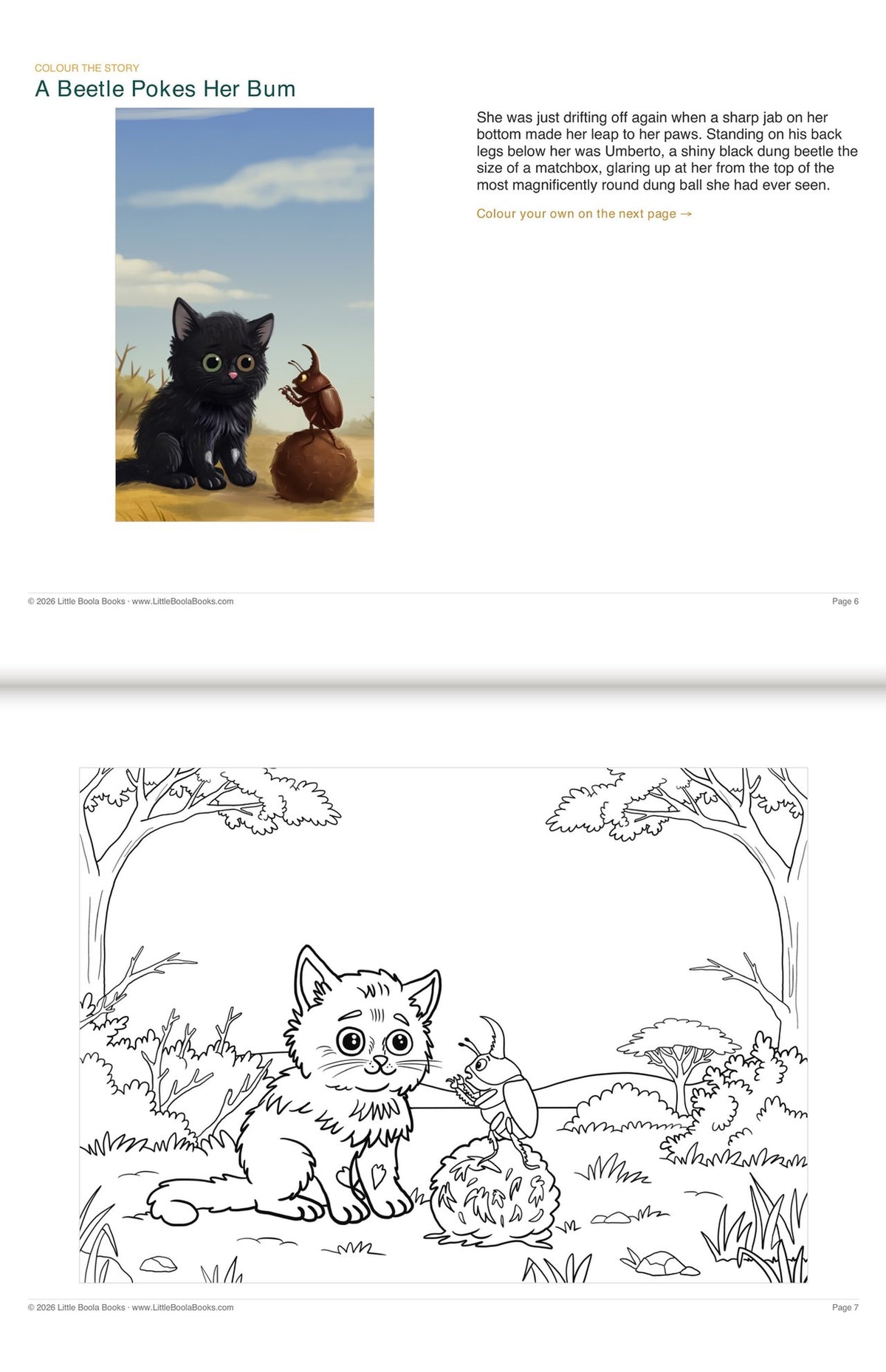 Inside Activity Book 6: The Ostriches. Colour the Story: a picture from the book above the page to colour in