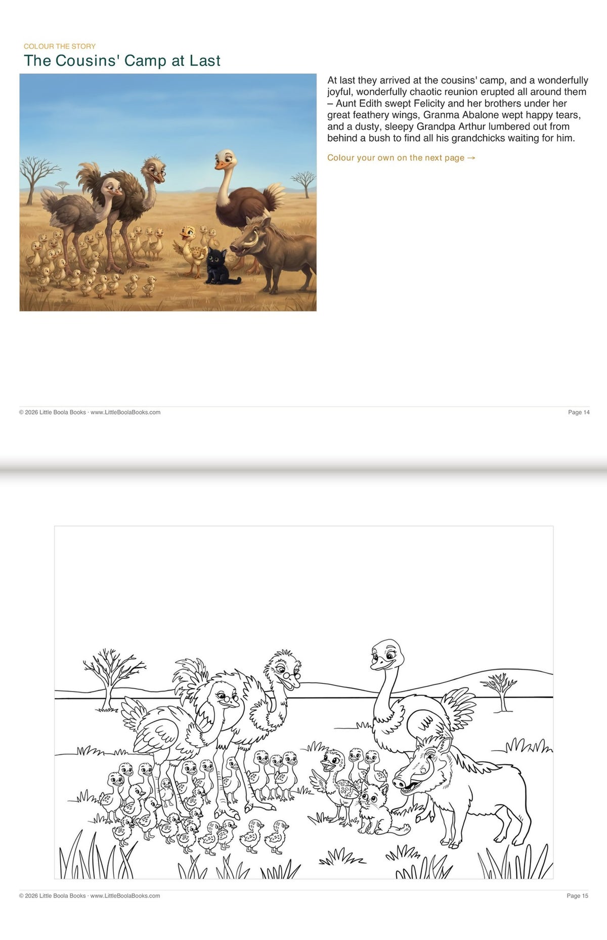 Inside Activity Book 6: The Ostriches. Colour the Story: a picture from the book above the page to colour in