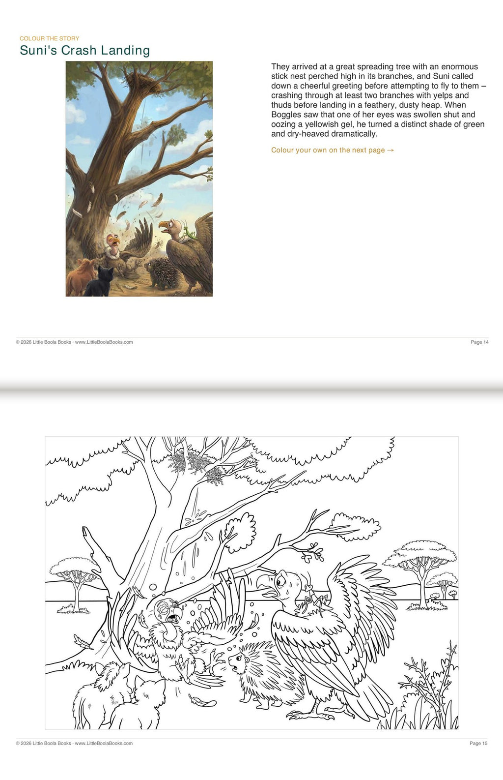 Inside Activity Book 7: The Vultures. Colour the Story: a picture from the book above the page to colour in