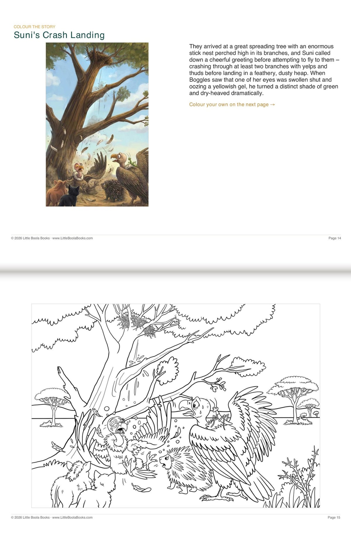 Inside Activity Book 7: The Vultures. Colour the Story: a picture from the book above the page to colour in