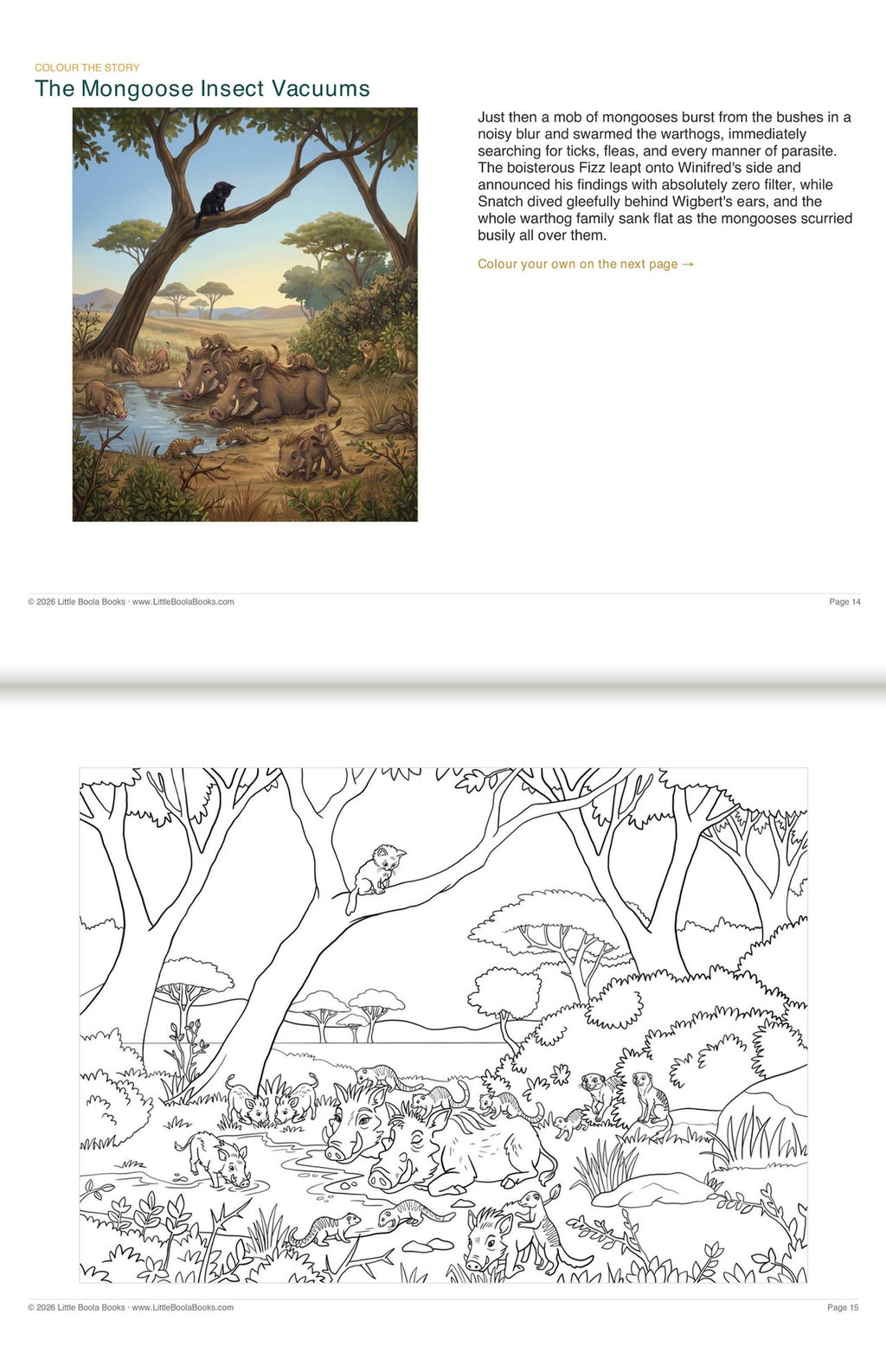 Inside Activity Book 8: The Warthogs. Colour the Story: a picture from the book above the page to colour in