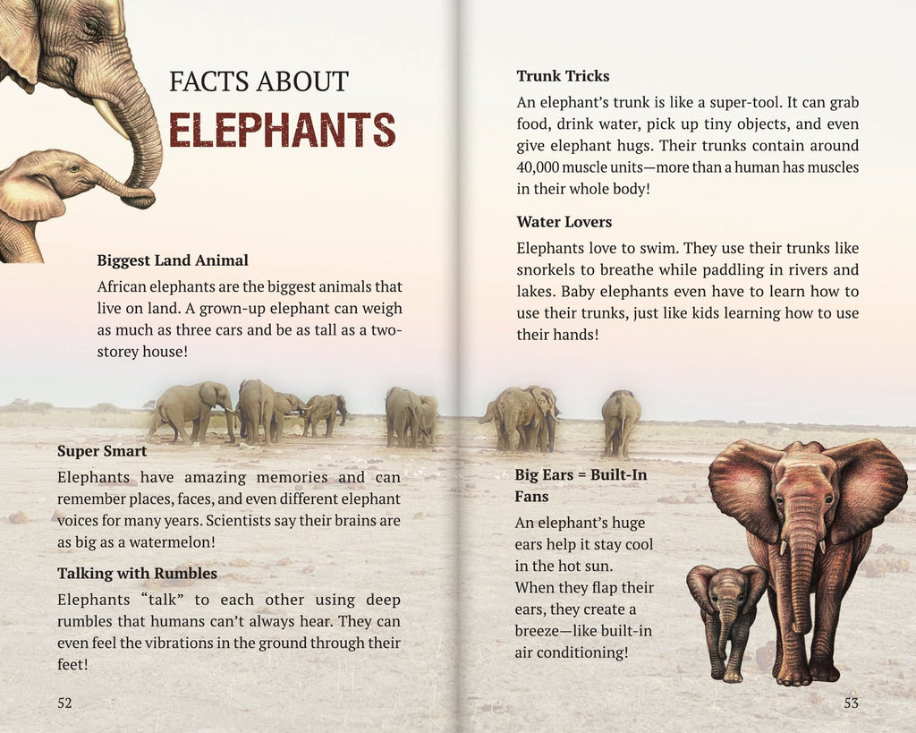Inside Book 2: The Elephants: the Facts About section