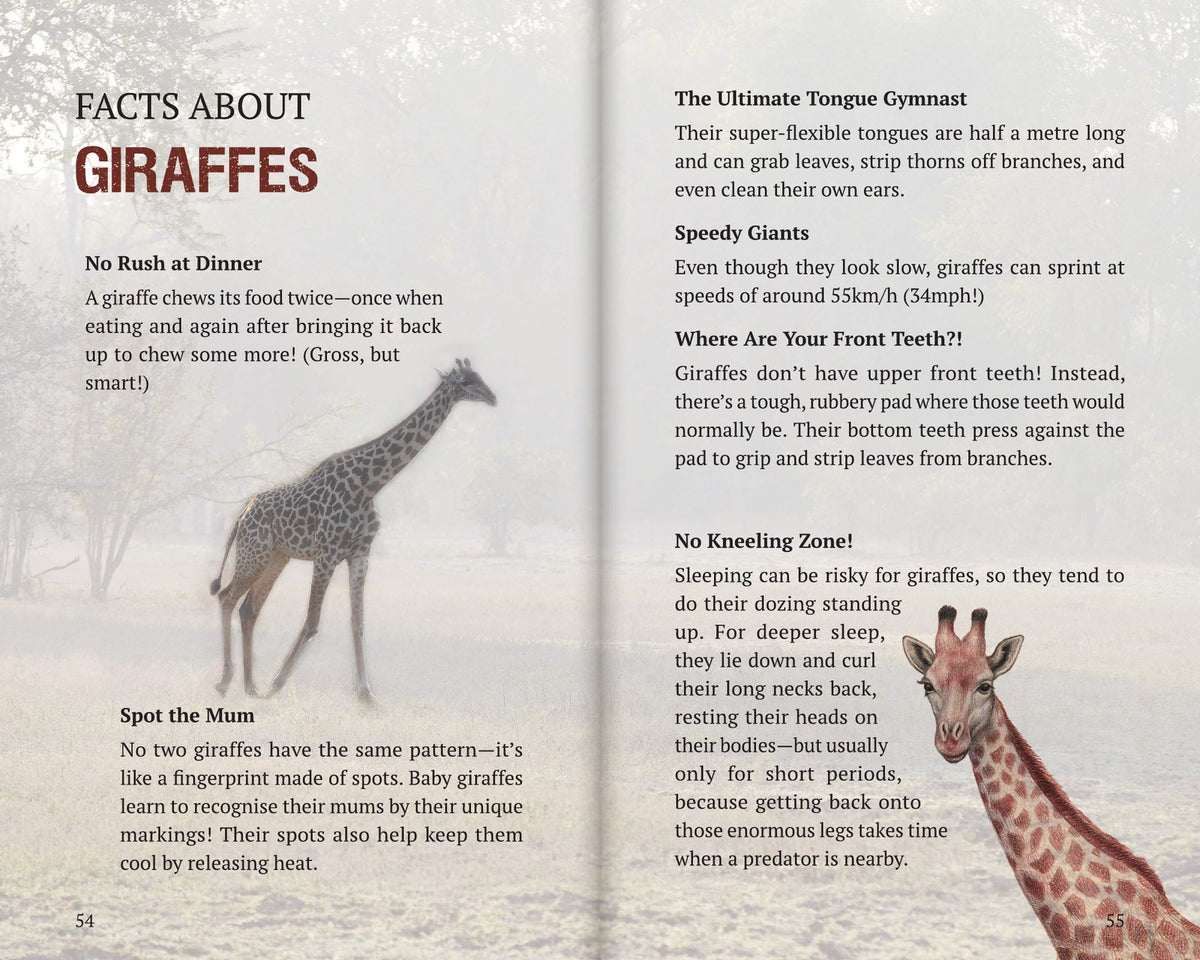 Inside Book 3: The Giraffes: the Facts About section