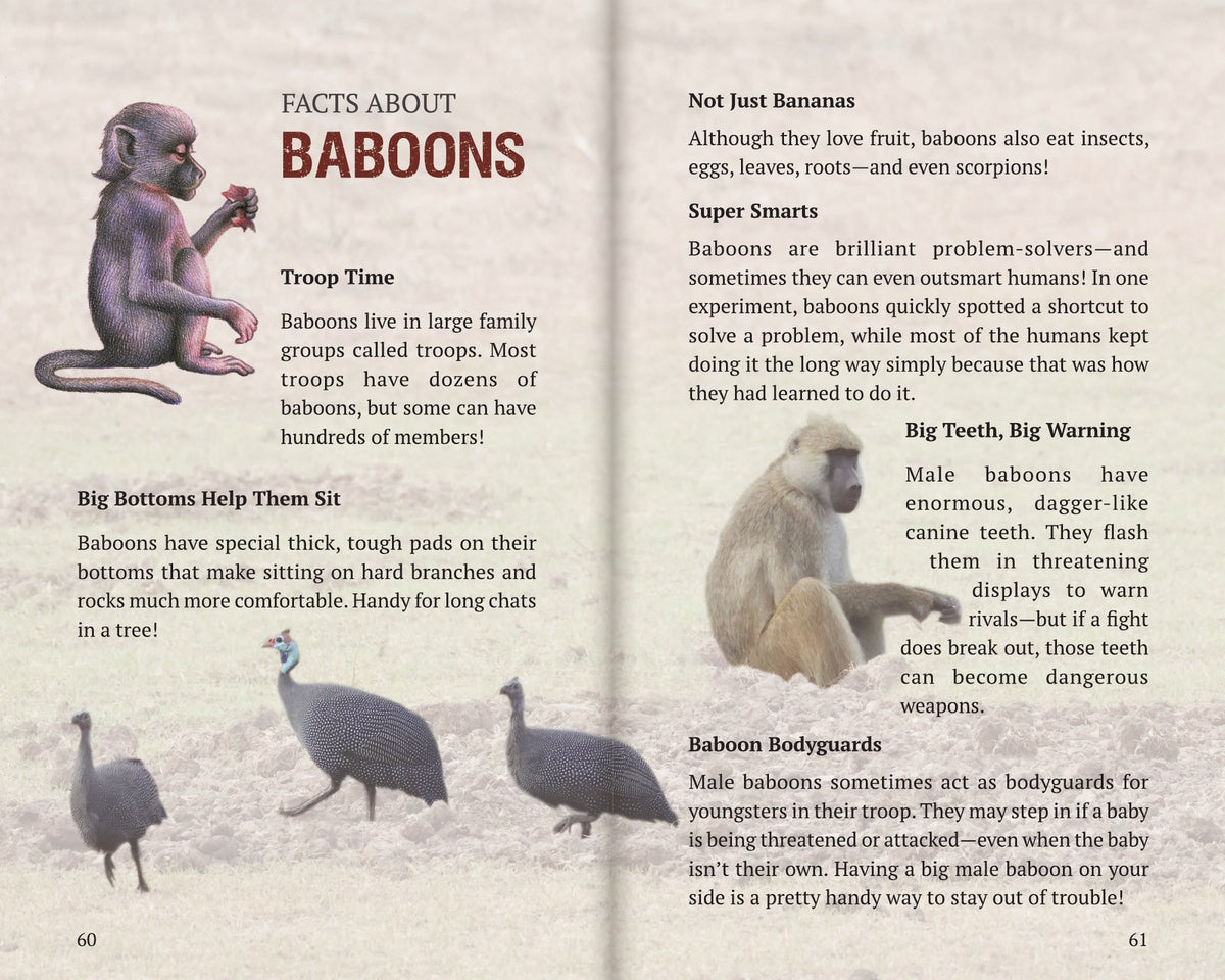 Inside Book 4: The Baboons: the Facts About section