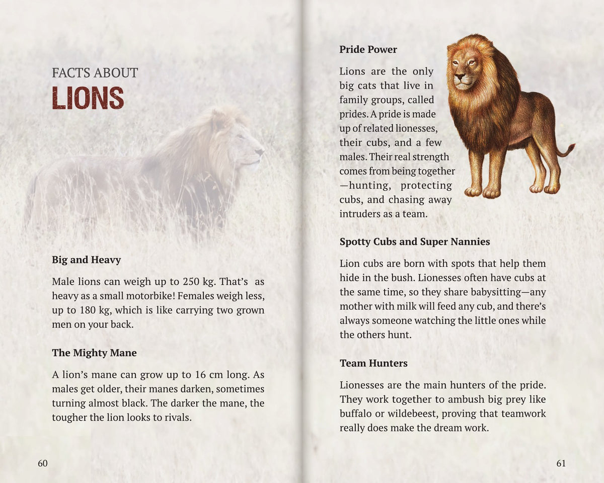 Inside Book 5: The Lions: the Facts About section