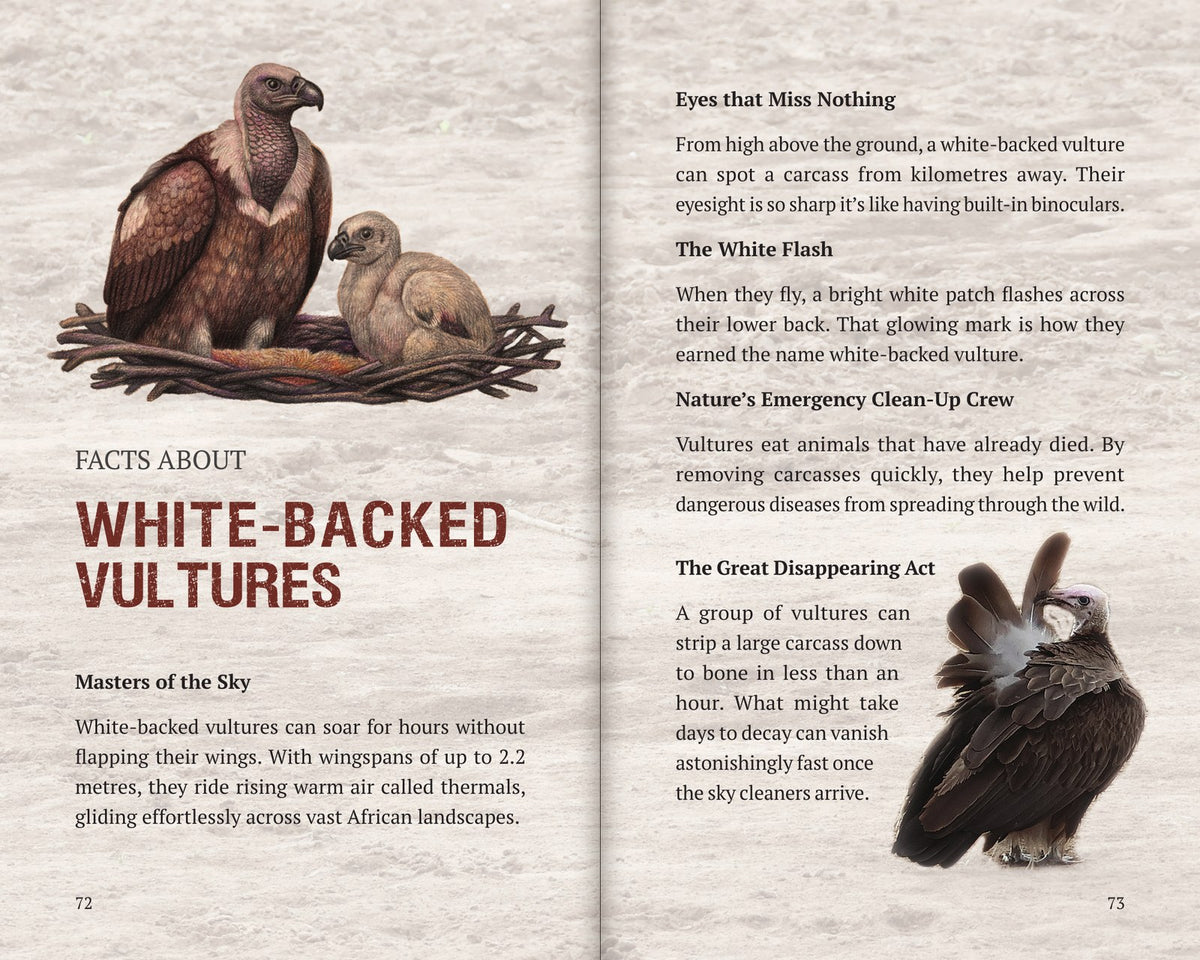 Inside Book 7: The Vultures: the Facts About section
