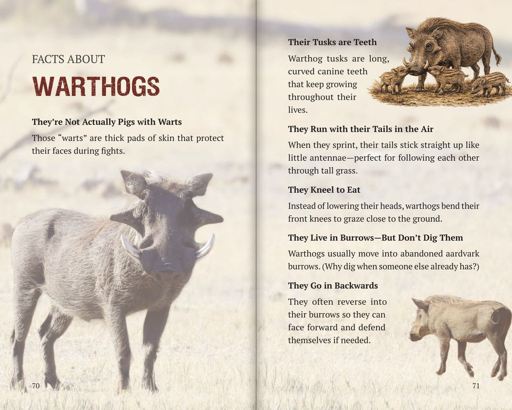 Inside Book 8: The Warthogs: the Facts About section