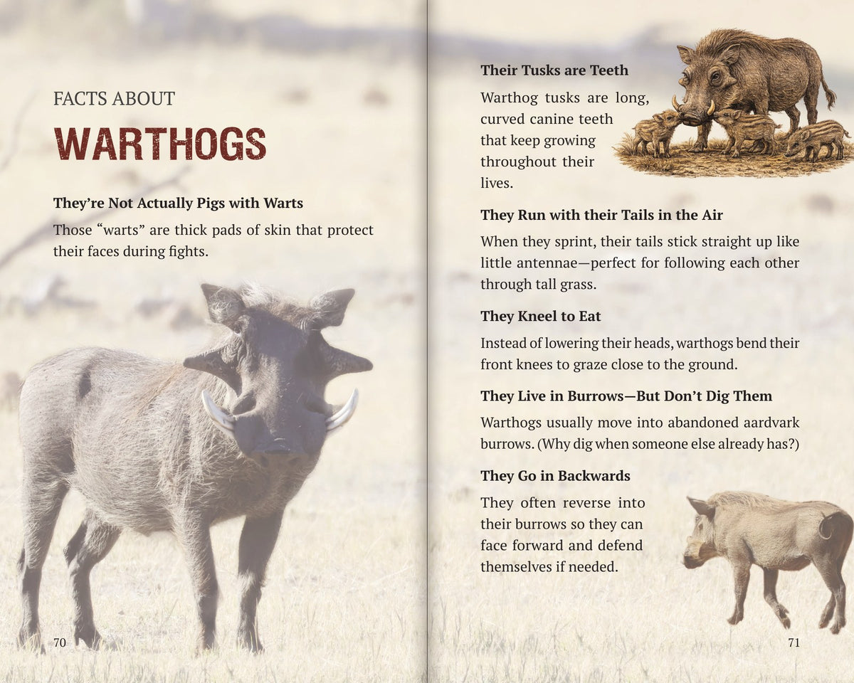Inside Book 8: The Warthogs: the Facts About section
