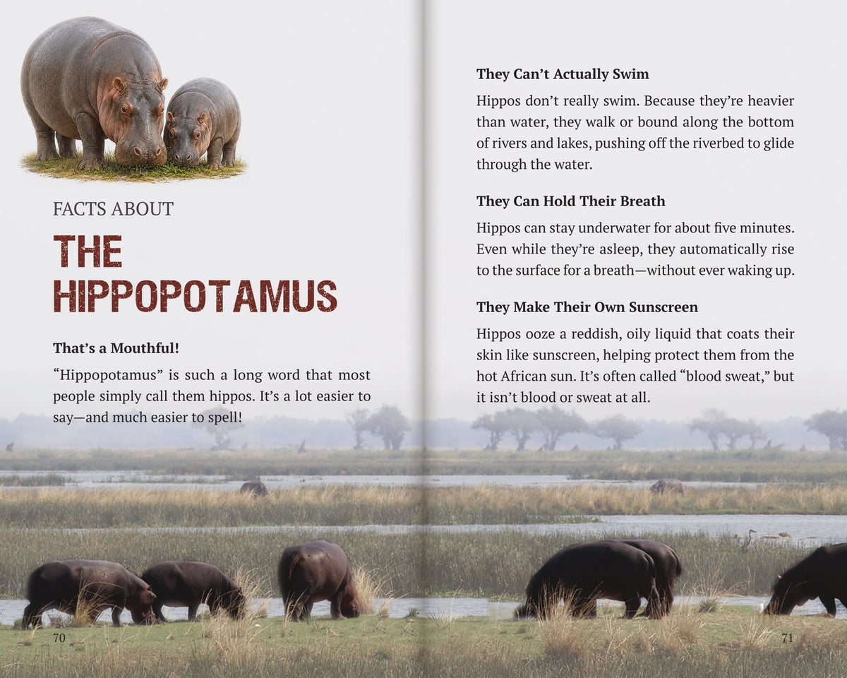 Inside Book 9: The Hippos: the Facts About section