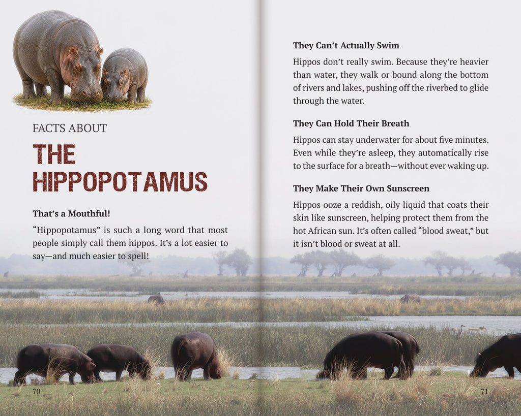 Inside Book 9: The Hippos: the Facts About section